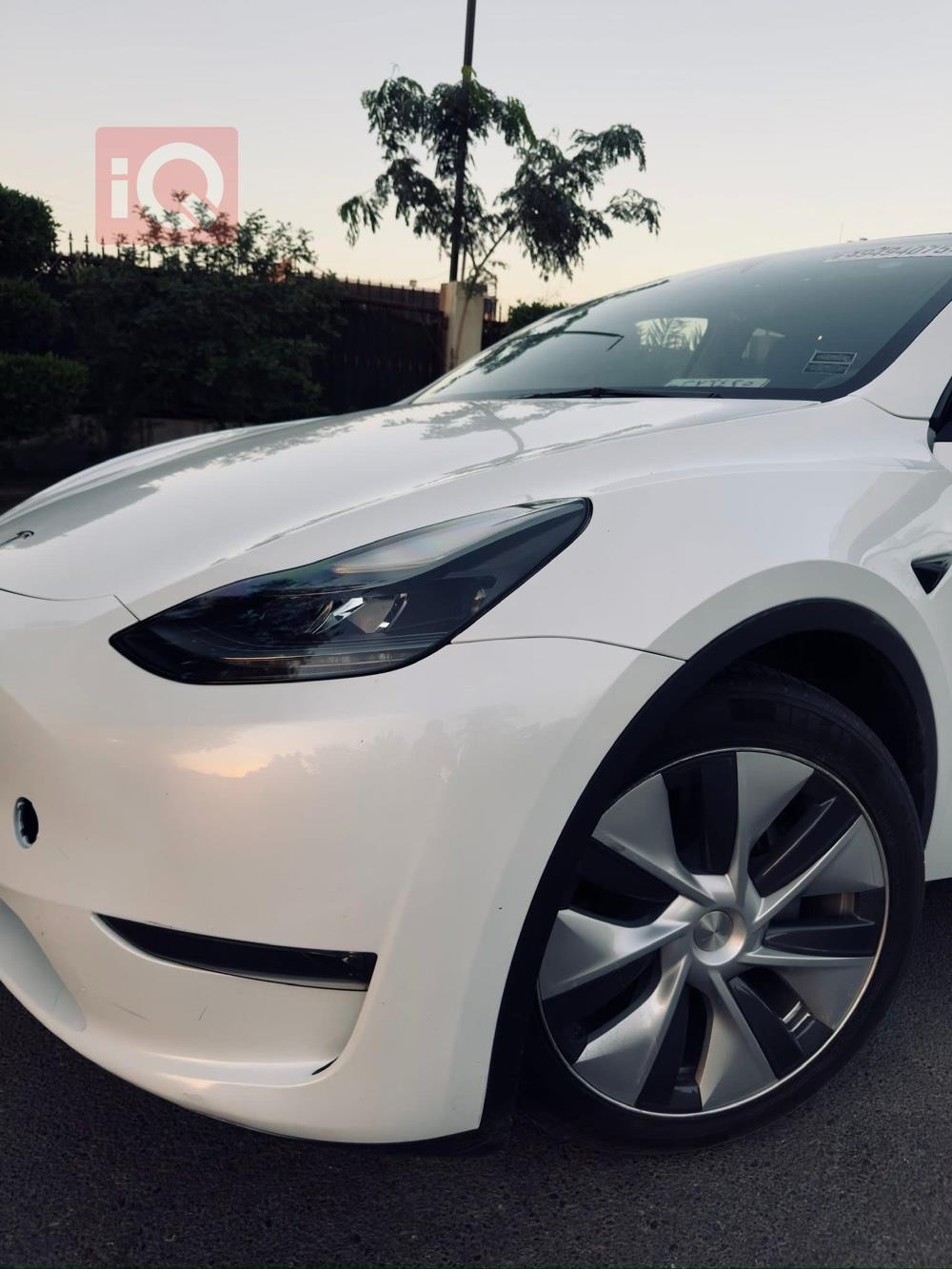 تسلا موديل Y